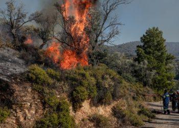 Φωτιά τώρα στη Βαρυμπόμπη