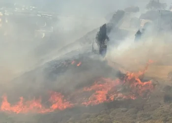 Φωτιά στην Κω – Εστάλη μήνυμα από το 112, δείτε βίντεο και φωτογραφίες