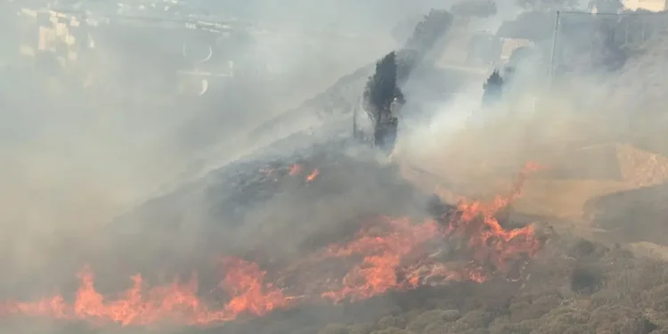 Φωτιά στην Κω – Εστάλη μήνυμα από το 112, δείτε βίντεο και φωτογραφίες