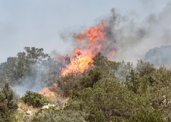 Πολύ υψηλός κίνδυνος πυρκαγιάς και την Κυριακή – Δείτε χάρτη