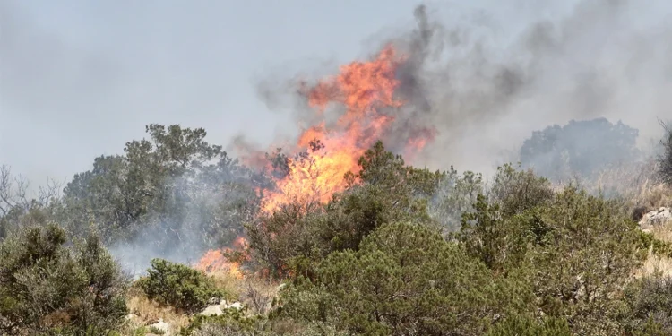 Πολύ υψηλός κίνδυνος πυρκαγιάς και την Κυριακή – Δείτε χάρτη