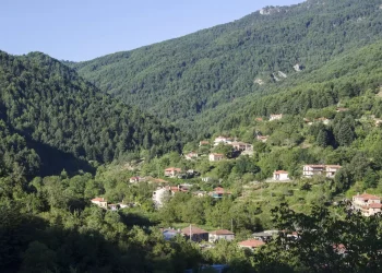 Ζαρούχλα Αχαΐας: Ένα χωριό πλημμυρισμένο στο πράσινο