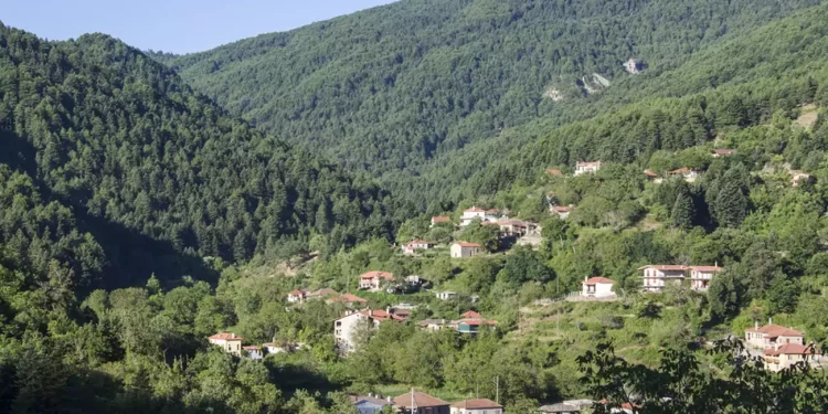 Ζαρούχλα Αχαΐας: Ένα χωριό πλημμυρισμένο στο πράσινο