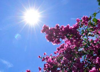 Καιρός: Έως 36 βαθμοί σήμερα