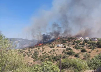Καίγονται σπίτια από τη φωτιά στο Κρανίδι: Μεγάλη μάχη με τις φλόγες – Συνεχής ενημέρωση