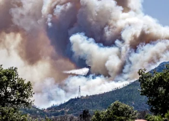 Φωτιά μέσα στο δάσος της Πάρνηθας, κατευθύνεται προς Τατόι – Δείτε βίντεο