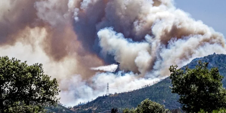 Φωτιά μέσα στο δάσος της Πάρνηθας, κατευθύνεται προς Τατόι – Δείτε βίντεο