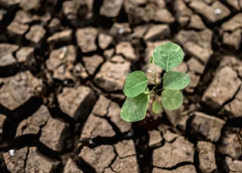 Τα νησιά της Ελλάδας «στεγνώνουν» – Κρήτη και Νότιο Αιγαίο εκπέμπουν «SOS» για το νερό