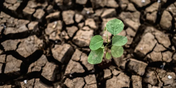 Τα νησιά της Ελλάδας «στεγνώνουν» – Κρήτη και Νότιο Αιγαίο εκπέμπουν «SOS» για το νερό