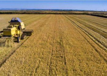 Σε διαβούλευση το πρόγραμμα των Νέων Αγροτών – Στα 410 εκατ. ευρώ ο προϋπολογισμός