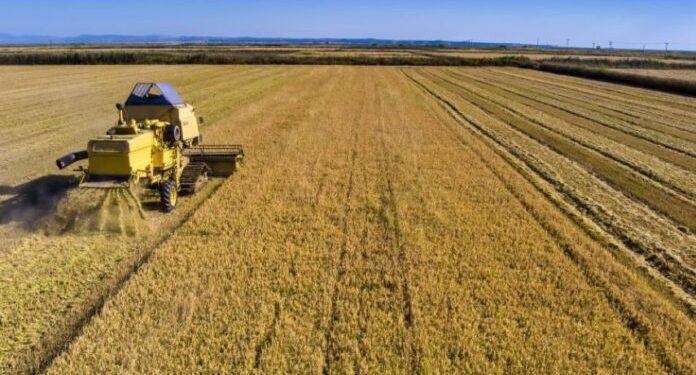 Σε διαβούλευση το πρόγραμμα των Νέων Αγροτών – Στα 410 εκατ. ευρώ ο προϋπολογισμός
