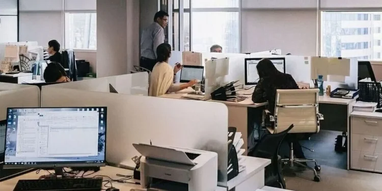 Δημιουργούνται 856 νέες θέσεις εργασίας, επιδοτούμενης και πλήρους απασχόλησης στο δημόσιο