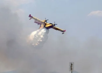 Πλάνο από το πύρινο μέτωπο στη Θέρμη Θεσσαλονίκης ΠΑΠΑΝΙΚΟΣ ΓΙΑΝΝΗΣ / INTIME