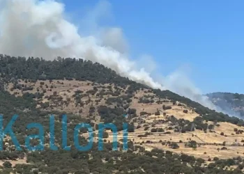 Φωτιά στη Λέσβο: Μεγάλη κινητοποίηση της πυροσβεστικής