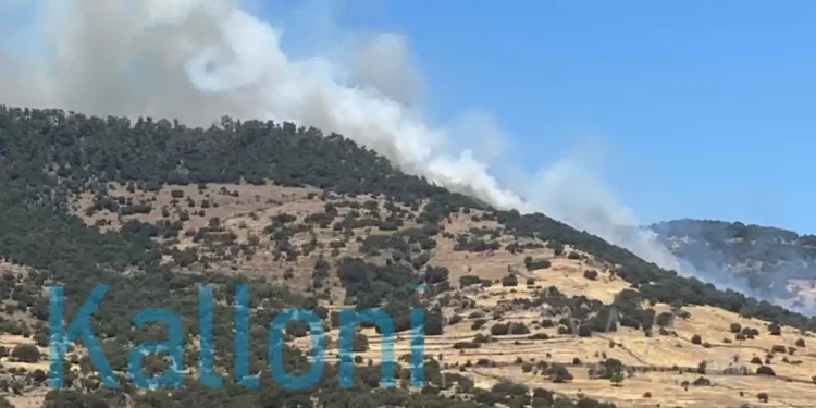 Φωτιά στη Λέσβο: Μεγάλη κινητοποίηση της πυροσβεστικής