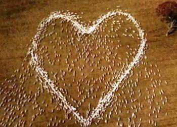 Καρδιακές παθήσεις: Πώς εκδηλώνονται σε άνδρες και γυναίκες