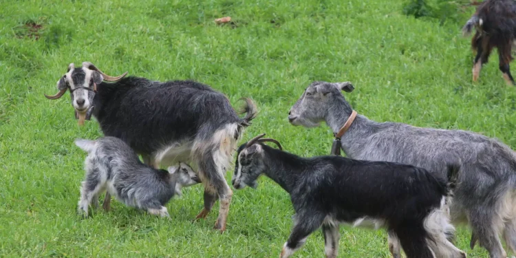 ΦΩΤΟ ΑΡΧΕΙΟΥ EUROKINISSI