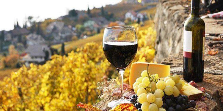 Κρασί: Πώς θα πρωταγωνιστήσει ο ελληνικός αμπελώνας; Η πρόταση των οινοποιών