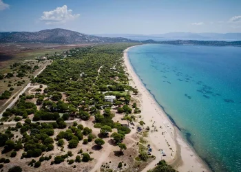 Παραλία Σχοινιάς: Η μεγαλύτερη και από τις καλύτερες της Αττικής