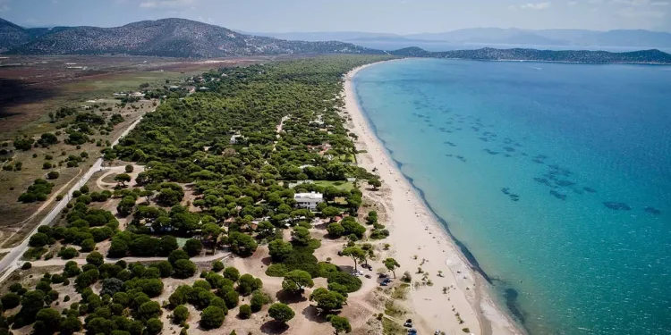 Παραλία Σχοινιάς: Η μεγαλύτερη και από τις καλύτερες της Αττικής