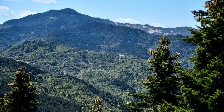 Ελληνικό: Ένα ξεχωριστό χωριό στα επιβλητικά Τζουμέρκα