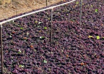 ΦΩΤΟΓΡΑΦΙΑ: ΑΠΕ-ΜΠΕ