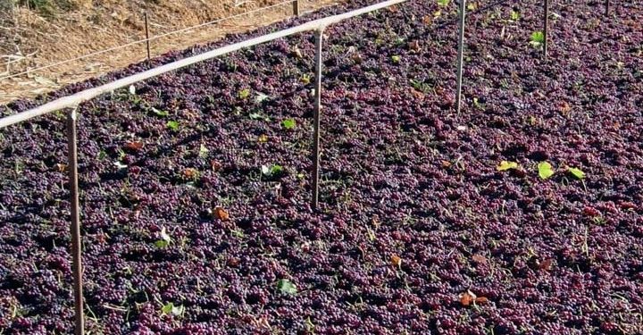 ΦΩΤΟΓΡΑΦΙΑ: ΑΠΕ-ΜΠΕ