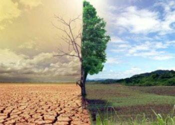 Τρόμο έχει προκαλέσει η λειψυδρία που χτυπά ανελέητα την Ελλάδα