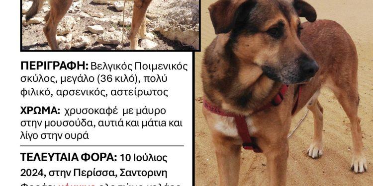 Ο ΡΑΓΚΝΑΡΟΚ ΧΑΘΗΚΕ ΣΤΗΝ ΣΑΝΤΟΡΙΝΗ