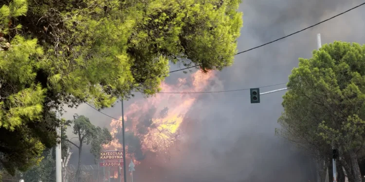 Από το πύρινο μέτωπο της φωτιάς στην Αττική INTIME NEWS