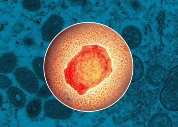 Παγκόσμια ανησυχία για την Ευλογιά των Πιθήκων