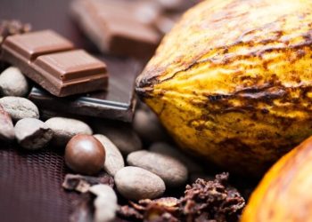 Γιατί ανεβαίνουν ξανά οι τιμές του κακάο