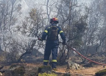 Φωτιές: 45 πυρκαγιές μετά το μεσημέρι – «Έβρεξε» κεραυνούς που προκάλεσαν τις περισσότερες