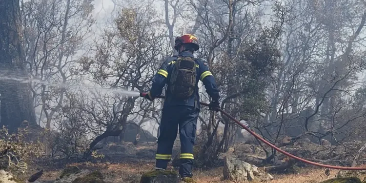 Φωτιές: 45 πυρκαγιές μετά το μεσημέρι – «Έβρεξε» κεραυνούς που προκάλεσαν τις περισσότερες
