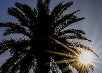 Καιρός: Άνεμοι έως 7 μποφόρ και θερμοκρασία στους 38 βαθμούς