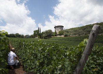 Διακοπές – Οινοτουρισμός: 5+1 γνωστά οινοποιεία που αξίζει να μείνετε στους ξενώνες τους