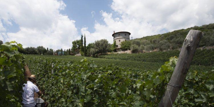 Διακοπές – Οινοτουρισμός: 5+1 γνωστά οινοποιεία που αξίζει να μείνετε στους ξενώνες τους