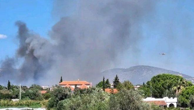 Κάηκε το 25% της έκτασης του δήμου Μαραθώνα – Τεράστια οικολογική καταστροφή