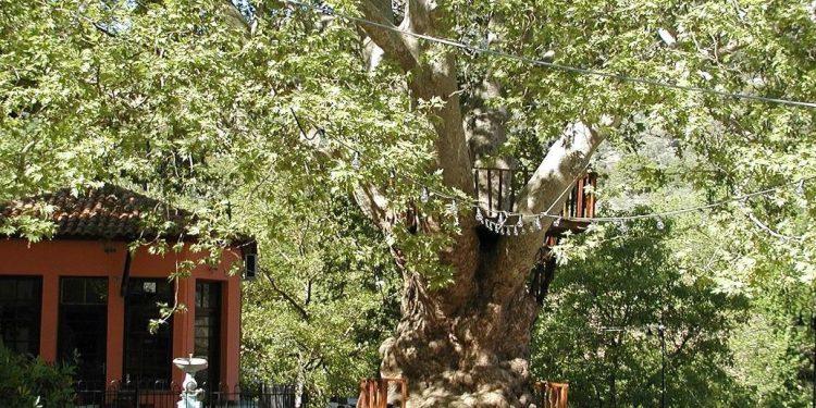 Ξαναζεί ο ιστορικός κήπος της Παναγίας στην ορεινή Αγιάσο της Λέσβου