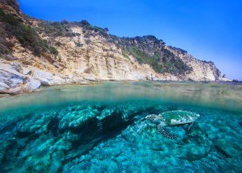 Ενα καλοκαιρινό οδοιπορικό στους σημαντικότερους ελληνικούς υδροβιοτόπους