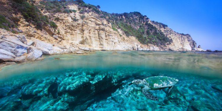 Ενα καλοκαιρινό οδοιπορικό στους σημαντικότερους ελληνικούς υδροβιοτόπους