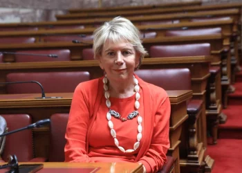 Παραίτηση – βόμβα Ακρίτα για την πισίνα: «Ο Νίκος Παππάς δεν την έκανε αποδεκτή»