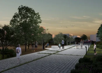 Ο Δήμος Χαλανδρίου για την κοπή καμένων δέντρων σε ιδιωτικά οικόπεδα