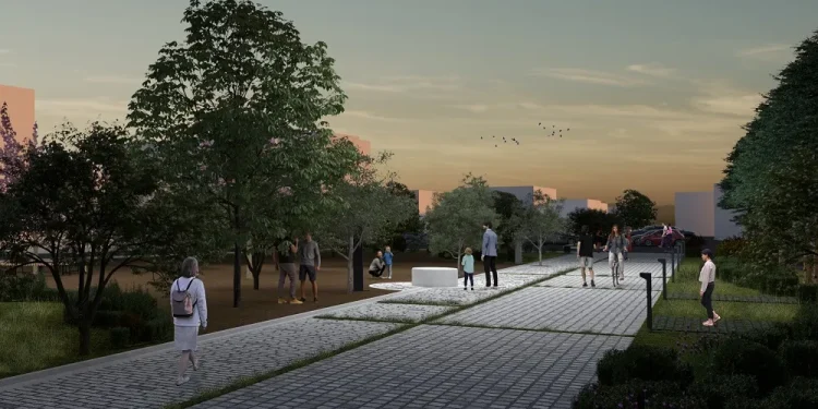 Ο Δήμος Χαλανδρίου για την κοπή καμένων δέντρων σε ιδιωτικά οικόπεδα