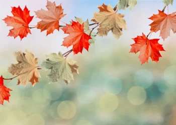 Καιρός: Μικρή πτώση της θερμοκρασίες και άνεμοι έως 7 μποφόρ