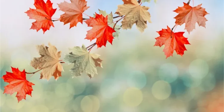 Καιρός: Μικρή πτώση της θερμοκρασίες και άνεμοι έως 7 μποφόρ