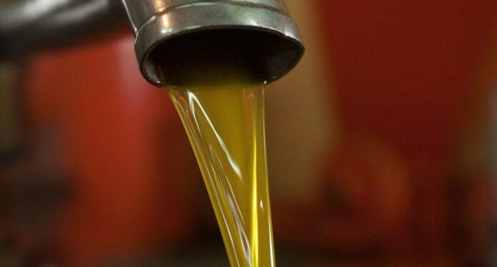 Ελαιόλαδο: Αγωνία για την παραγωγή, σε τι τιμές θα κινηθεί φέτος