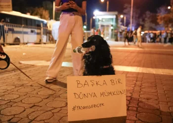 “Σκοτεινή Σκιά Στη Ζωή Αθώων: Η Τραγωδία των Αδέσποτων στην Τουρκία”