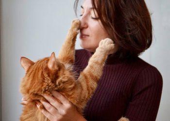 Οι γάτες γνωρίζουν ότι είστε ο ιδιοκτήτης τους;