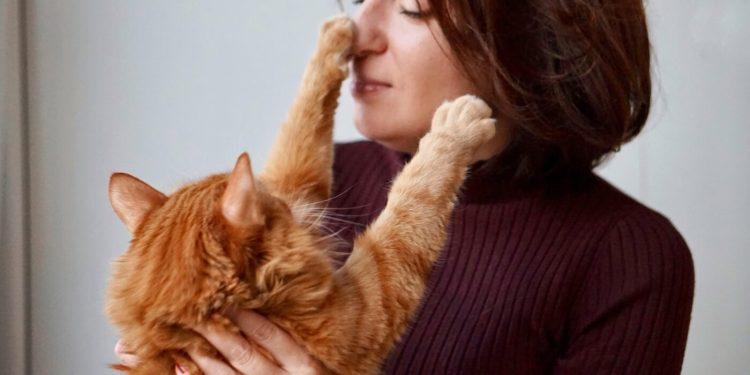 Οι γάτες γνωρίζουν ότι είστε ο ιδιοκτήτης τους;